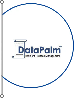 DataPalm